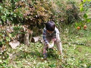 はるも手伝ってくれました。が、最初だけ...。