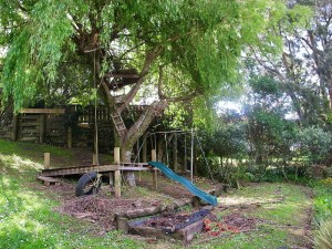 柳をばっさり切って、ツリーハウス建設予定地もよく見えるようになりました。