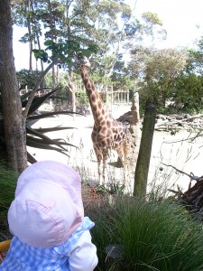 はじめて巨大な生き物を目撃して思わず「お〜〜」と言いながら見上げる花ちゃん