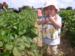 そして、思う存分口に詰め込む。