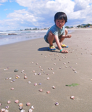 帰り道に寄ったWaihiビーチは貝殻がいっぱい