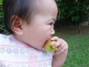 花にあげたら、やっぱり食べた