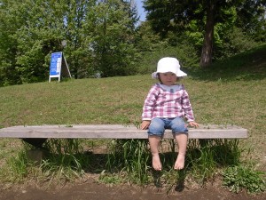 これじゃ、花は危なくて遊べないし