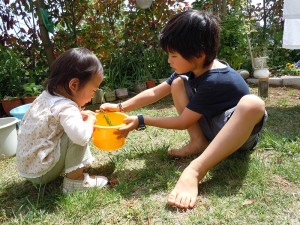 お庭でザリガニ観察。ザリガニを見るのは初めて。